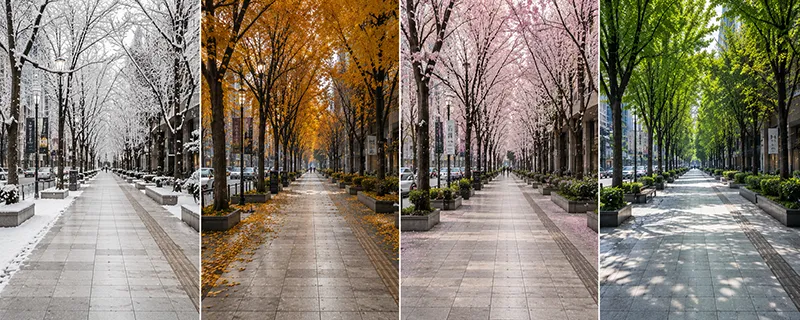نمای یک خیابان پر درخت با پیاده روی سرامیک پرسلان در چهار فصل سال شامل زمستان، پاییز، بهار و تابستان.